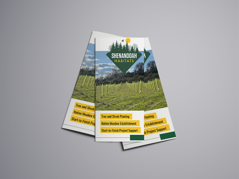 Shenandoah Habitats Trifold